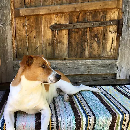 Savikulma Savihuone Mynamaki