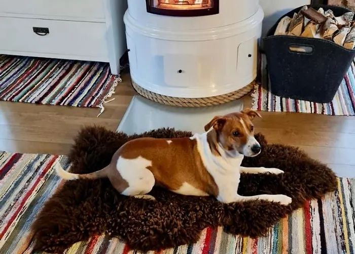 منزل للإقامة Savikulma Savihuone