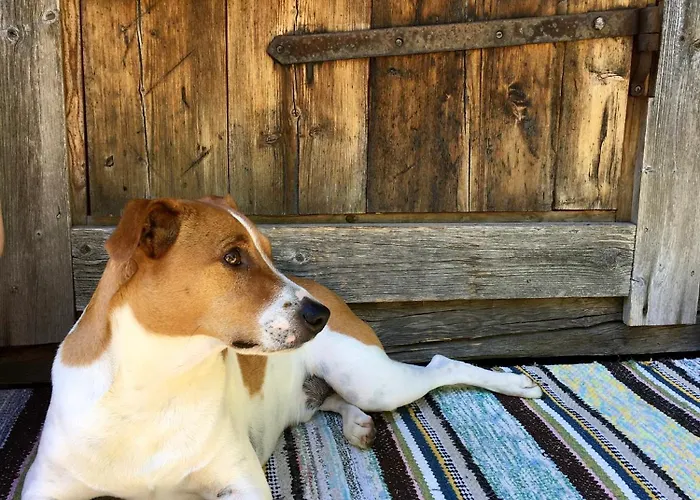 Savikulma Savihuone Mynamaki